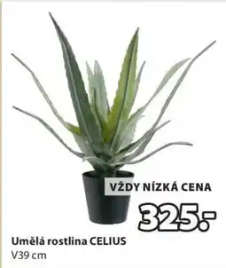 JYSK UMĚLÁ ROSTLINA CELIUS nabídka