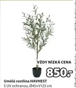 JYSK UMĚLÁ ROSTLINA HAVHEST nabídka