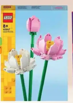 Dráčik Lego otosové květy nabídka