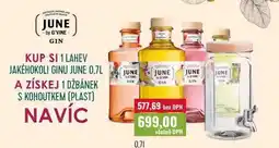 Ratio JUNE GIN nabídka
