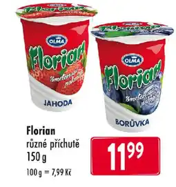 Astur&Qanto Olma Florian nabídka