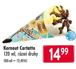 Astur&Qanto Kornout Cartatto nabídka