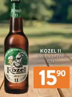 Astur&Qanto Kozel 11 světlý ležák nabídka