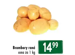 Astur&Qanto Brambory rané nabídka
