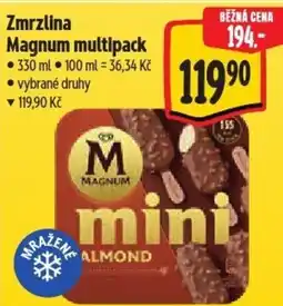 Albert Zmrzlina Magnum multipack nabídka
