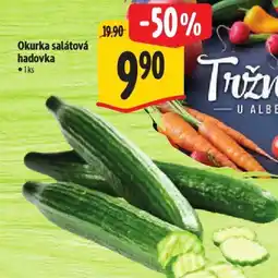 Albert Okurka salátová hadovka nabídka