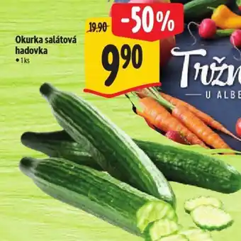 Albert Okurka salátová hadovka nabídka
