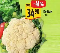 Albert Květák nabídka