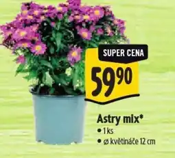 Albert Astry mix nabídka