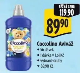 Albert Coccolino Aviváž nabídka
