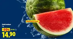 Lidl Vodní meloun nabídka