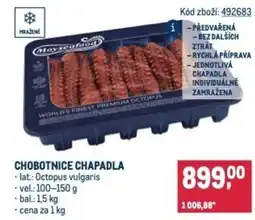 Makro Chobotnice chapadla nabídka