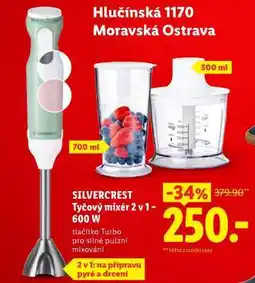 Lidl SilverCrest TYČOVÝ MIXÉR 2 v 1, 600 W nabídka