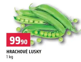 Hrachové lusky