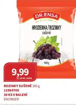 Kubík potraviny Rozinky sušené nabídka
