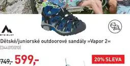 Intersport Dětské/juniorské outdoorové sandály >>Vapor 2<< nabídka