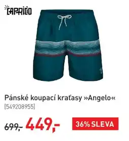 Intersport Pánské koupací kraťasy »Angelo<< nabídka