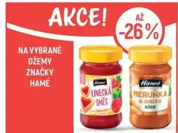 Globus Na vybrané džemy značky Hamé nabídka