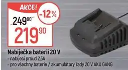 Globus Nabíječka baterií 20 V nabídka