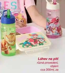 Kik Láhev na pití nabídka