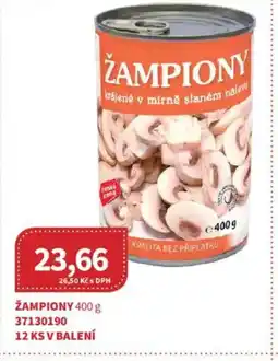 Kubík potraviny Žampiony nabídka