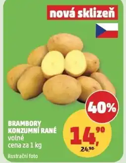 Penny Market Brambory konzumní rané nabídka