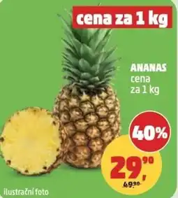 Penny Market Ananas nabídka