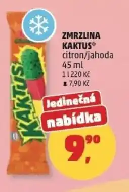Penny Market Zmrzlina kaktus nabídka
