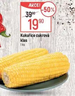 Globus Kukuřice cukrová klas nabídka