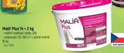 Globus Malíř Plus nabídka