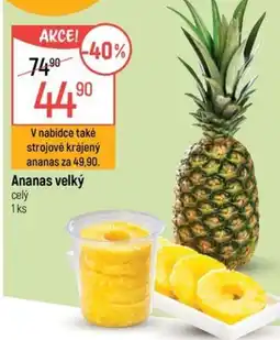 Globus Ananas velký nabídka
