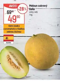 Globus Meloun cukrový Galia nabídka