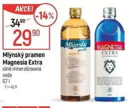 Globus Mlynský pramen Magnesia Extra nabídka