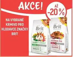 Globus Na vybrané krmivo pro hlodavce značky Brit nabídka