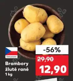Kaufland Brambory žluté rané nabídka