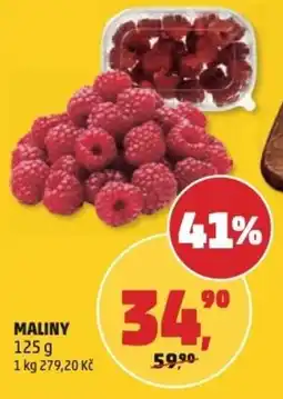 Penny Market Maliny nabídka