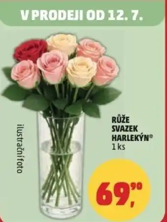 Penny Market Růže svazek harlekỳn nabídka