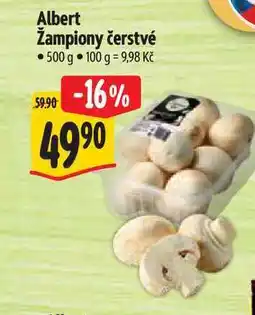 Albert Albert Žampiony čerstvé nabídka
