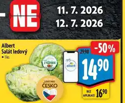 Albert Albert Salát ledový 1ks nabídka
