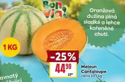 Billa Meloun Cantaloupe nabídka