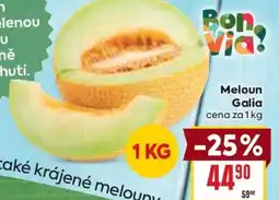Billa Meloun Galia nabídka