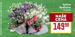 Billa Kytice Eustoma nabídka