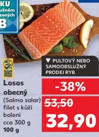 Kaufland Losos obecný nabídka