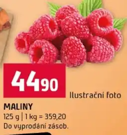 Terno Maliny nabídka