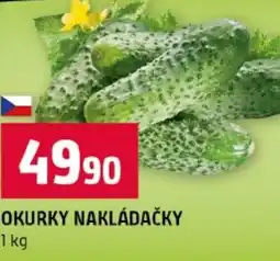 Terno Okurky nakládačky nabídka