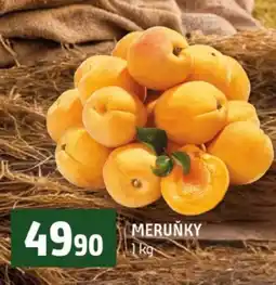 Terno Meruňky nabídka