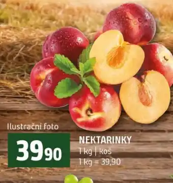 Terno Nektarinky nabídka