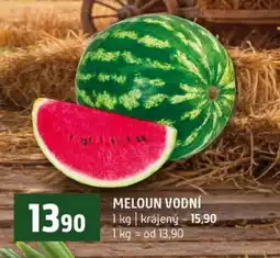Terno Meloun vodní nabídka