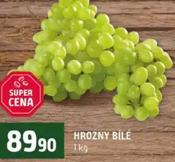 Terno Hrozny bílé nabídka