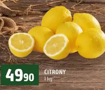 Terno Citrony nabídka
